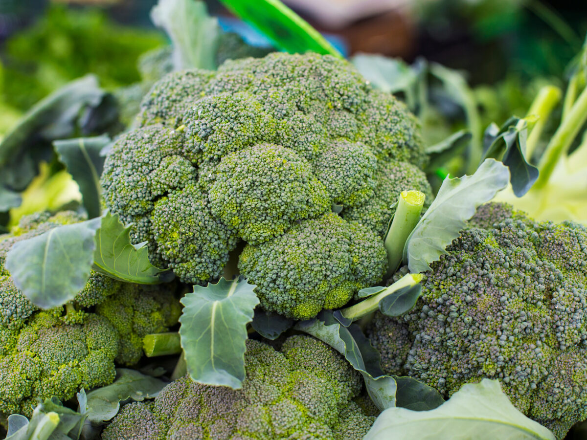 broccoli și prostatita
