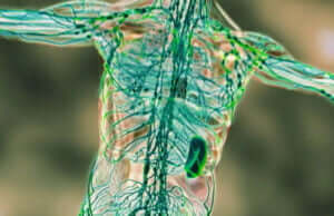 Oboseala și bolile sunt simptome ale unui sistem limfatic este saturat! Aceste rețete pot să te ajute!