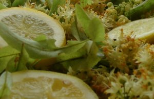 Limonadă sănătoasă cu flori de tei – băutura perfectă pentru zilele călduroase
