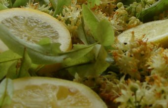 Limonadă sănătoasă cu flori de tei – băutura perfectă pentru zilele călduroase