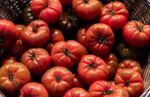 Cum să accelerezi coacerea roșiilor: 4 trucuri pentru roșii coapte cu 10 zile mai devreme