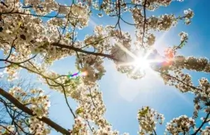 De ce primăvara este momentul ideal pentru o adevărată reînnoire?